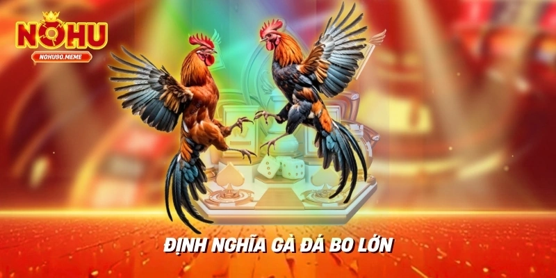 Định nghĩa gà đá bo lớn